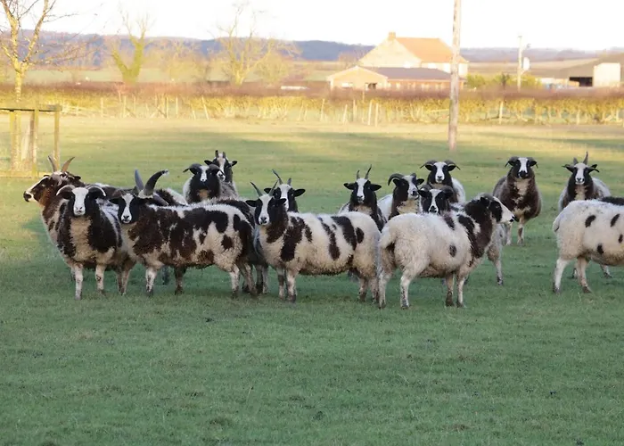 The Old Hayloft Great Edston