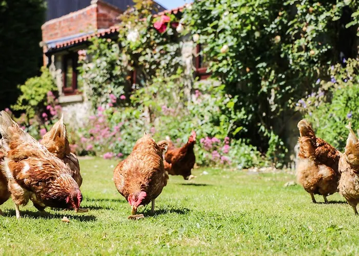 Nyaraló The Old Hayloft Great Edston