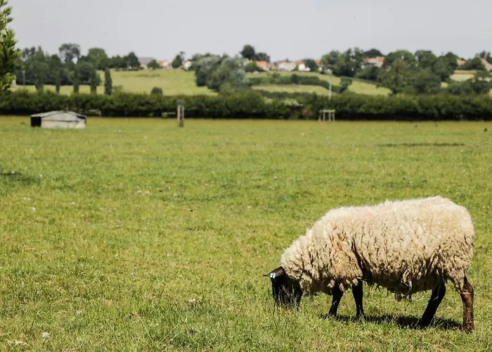 Nyaraló The Old Hayloft