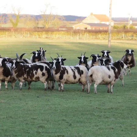 The Old Hayloft Great Edston