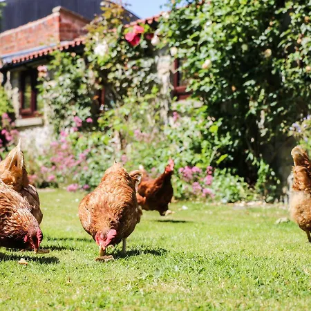 度假居 The Old Hayloft Great Edston